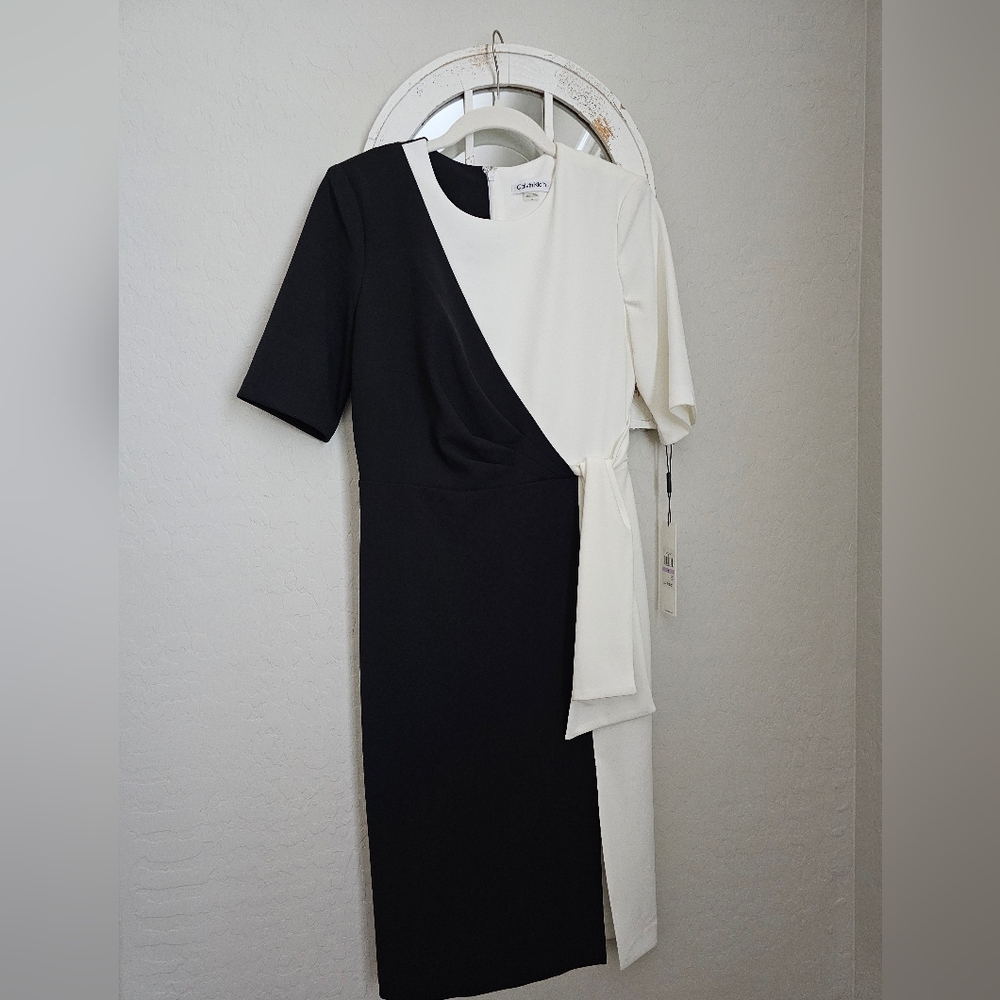 Calvin Klein Black and White Dress